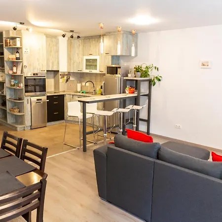 Apartment Fancy Big In The Heart Of *